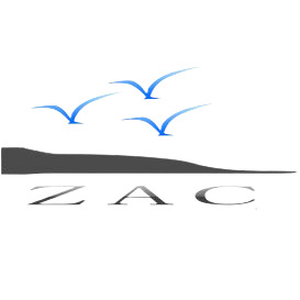 what services can we provide?